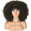 Big Afro Synthetic Short Hair Wigs Kinky Curly Full Lace Wig With Bangs