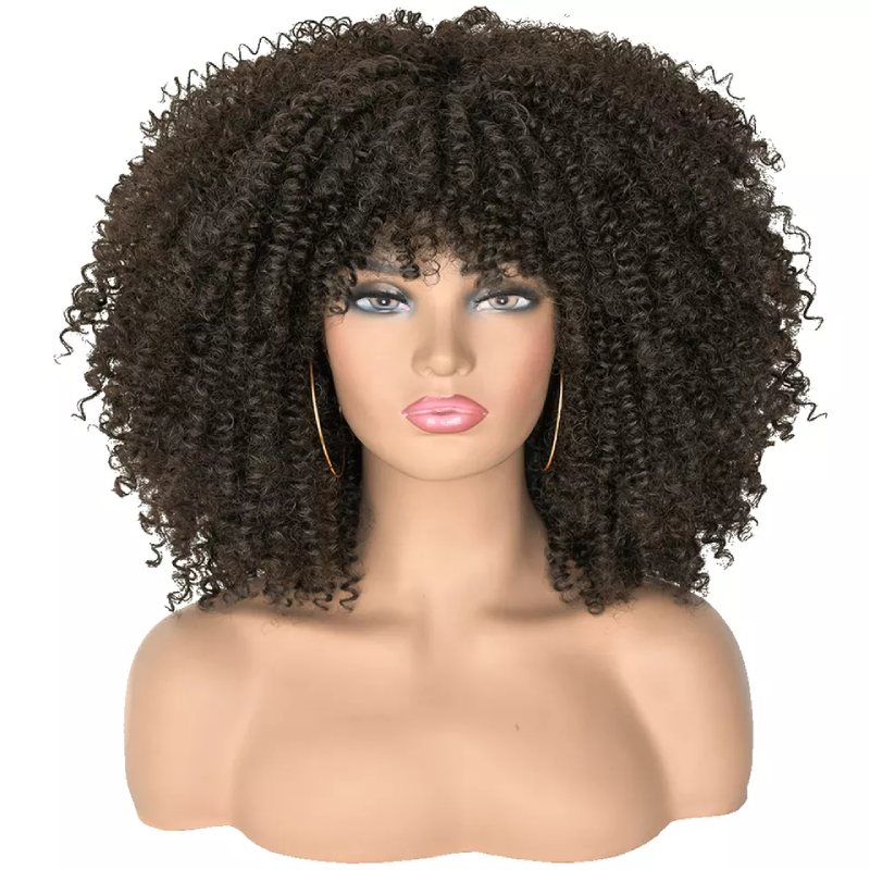Big Afro Synthetic Short Hair Wigs Kinky Curly Full Lace Wig With Bangs